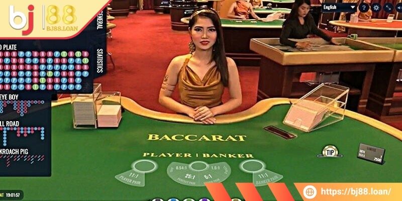 Mỗi lựa chọn đều có quy định riêng