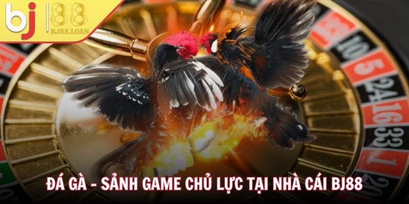 Đá gà - Sảnh game chủ lực tại nhà cái BJ88