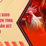 Đá Gà 4k BJ88 - Bộ Môn Kịch Tính, Rất Hấp Dẫn Bet Thủ