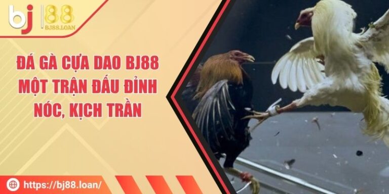 Đá Gà Cựa Dao Bj88 - Một Trận Đấu Đỉnh Nóc, Kịch Trần
