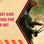 Đá Gà Cựa Sắt BJ88 - Hình Thức Chọi Phổ Biến Hiện Nay