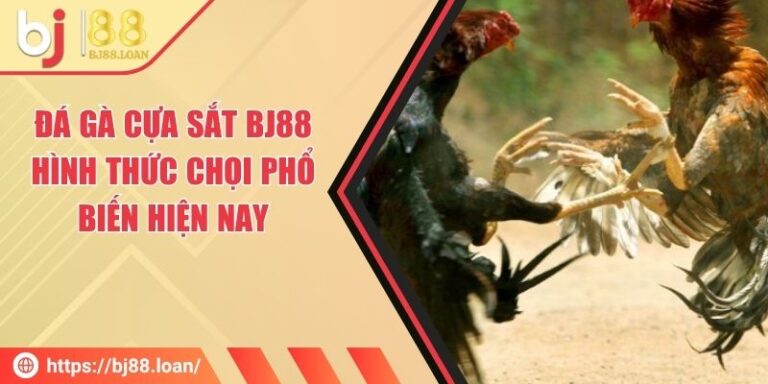 Đá Gà Cựa Sắt BJ88 - Hình Thức Chọi Phổ Biến Hiện Nay