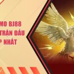 Đá Gà Thomo BJ88 - Tận Hưởng Trận Đấu Đẳng Cấp Nhất