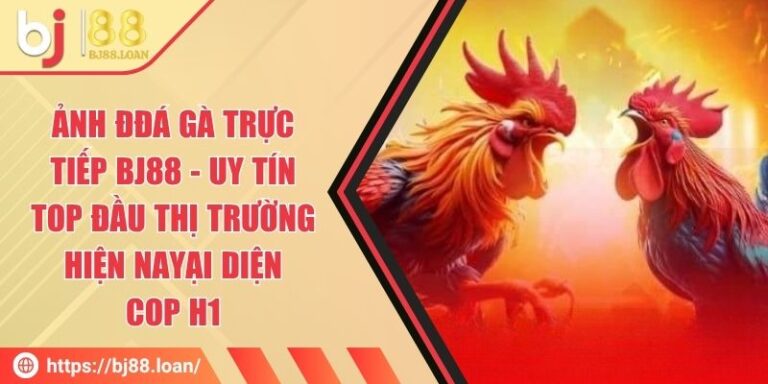 Đá Gà Trực Tiếp BJ88 - Uy Tín Top Đầu Thị Trường Hiện Nay