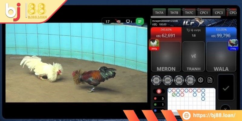 Thông tin về kèo cược của đá gà trực tiếp BJ88